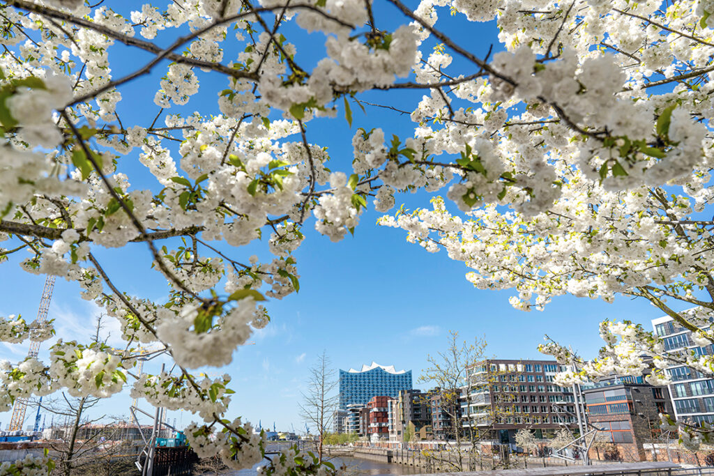 Ostern 2021 steht auch nach einem Jahr immer noch im Lockdown-Modus, doch der Frühlingsanfang und das Nachvorneblicken schaffen die Stimmung für torösterliche Auferstehung. © Thomas Hampel