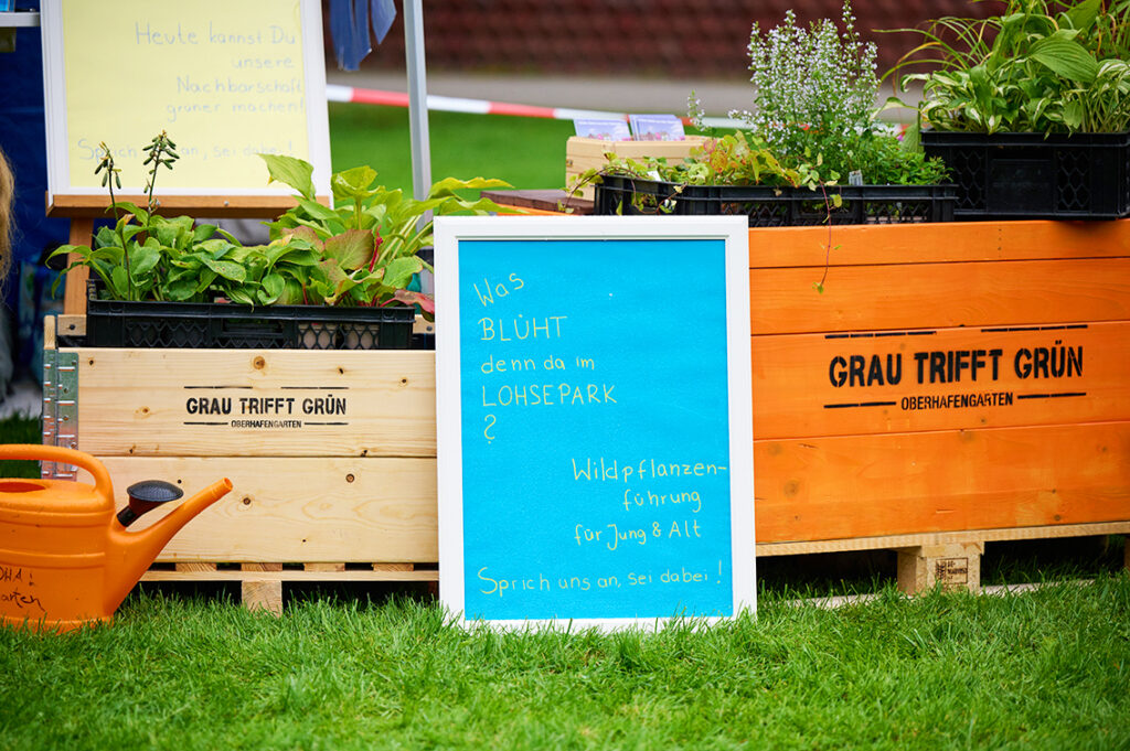 Mehr Grün in die HafenCity durch „Citizen Forest“? Man könne einen Mini-Wald, einen Tiny Forest, zum Beispiel an der Osakaallee pflanzen. Damit ließe sich unter anderem verhindern, dass Böden bei künftigen Hitzeperioden austrockneten. © Catrin-Anja Eichinger